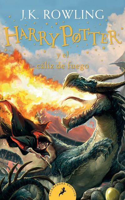 Harry Potter y el cáliz de fuego (Harry Potter 4) | 9788418173110 | J.K. Rowling | Librería Castillón - Comprar libros online Aragón, Barbastro