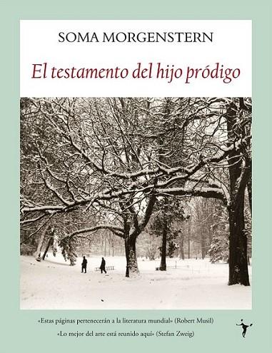 TESTAMENTO DEL HIJO PRÓDIGO, EL | 9788496601864 | MORGENSTERN, SOMA | Librería Castillón - Comprar libros online Aragón, Barbastro