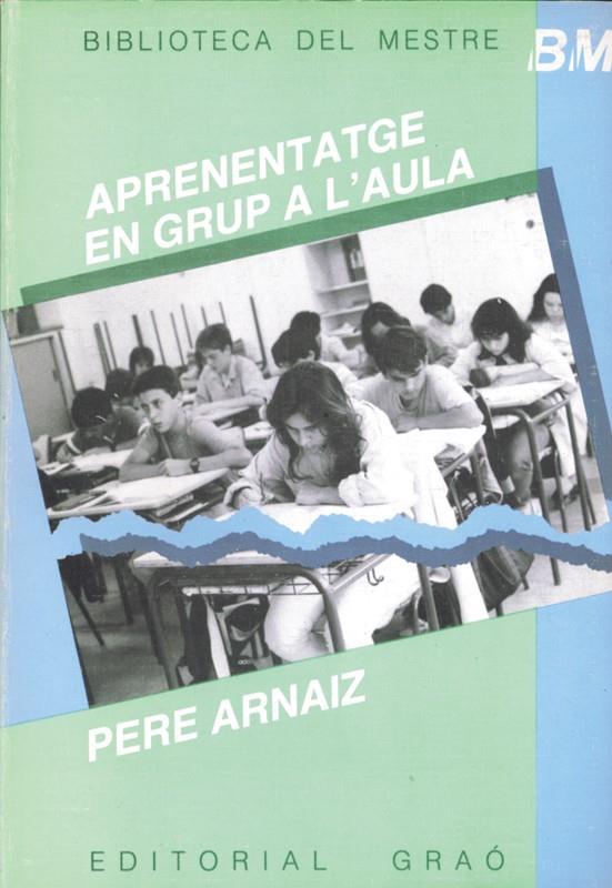 APRENENTATGE EN GRUP A L'AULA | 9788485729456 | ARNAIZ, PERE | Librería Castillón - Comprar libros online Aragón, Barbastro