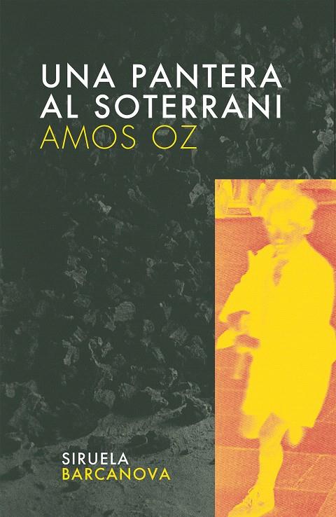 UNA PANTERA AL SOTERRANI | 9788495103024 | OZ, AMOS | Librería Castillón - Comprar libros online Aragón, Barbastro
