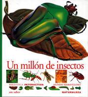 UN MILLON DE INSECTOS | 9788434852051 | Librería Castillón - Comprar libros online Aragón, Barbastro