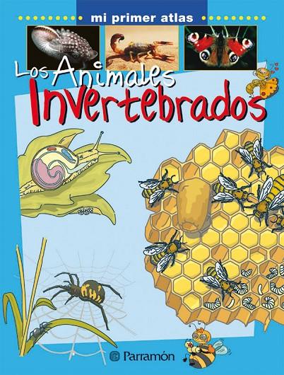 ANIMALES INVERTEBRADOS, LOS - MI PRIMER ATLAS | 9788434227156 | Librería Castillón - Comprar libros online Aragón, Barbastro