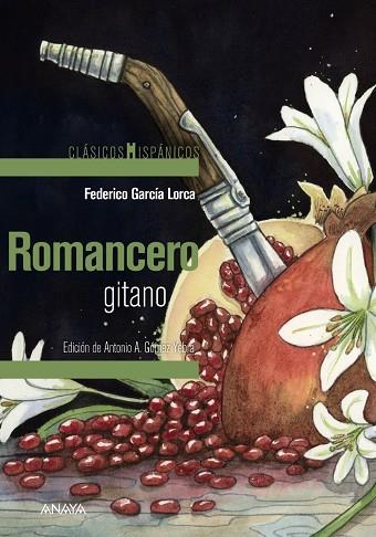 Romancero gitano | 9788469891278 | García Lorca, Federico | Librería Castillón - Comprar libros online Aragón, Barbastro