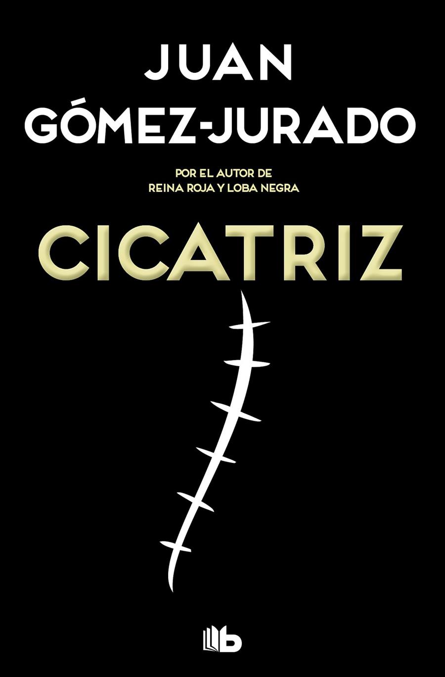 Cicatriz | 9788413142449 | Gomez-jurado, juan | Librería Castillón - Comprar libros online Aragón, Barbastro