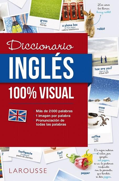 Diccionario de inglés 100% Visual | 9788416641772 | Larousse Editorial | Librería Castillón - Comprar libros online Aragón, Barbastro