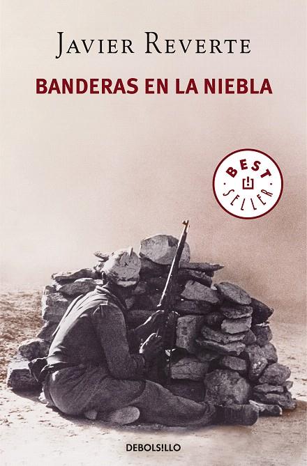 Banderas en la niebla | 9788466343848 | REVERTE, JAVIER | Librería Castillón - Comprar libros online Aragón, Barbastro