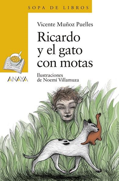 Ricardo y el gato con motas | 9788469848272 | Muñoz Puelles, Vicente | Librería Castillón - Comprar libros online Aragón, Barbastro