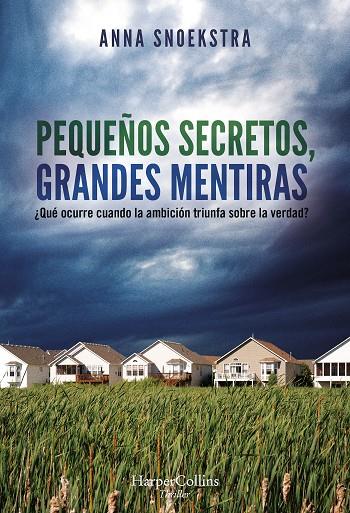 Pequeños secretos, grandes mentiras | 9788491395560 | Snoekstra, Anna | Librería Castillón - Comprar libros online Aragón, Barbastro