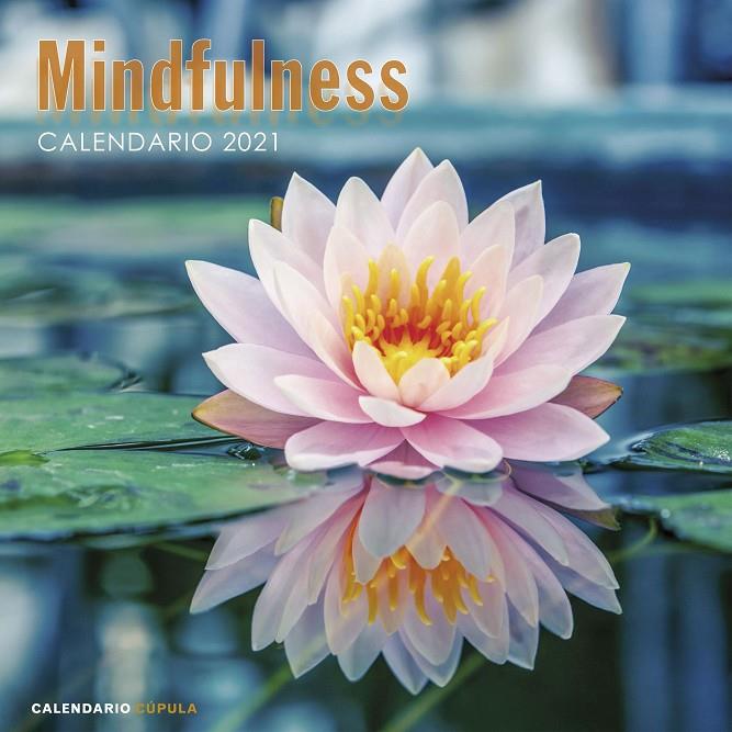  Calendario pared Mindfulness 2021 | 9788448027735 | VV.AA. | Librería Castillón - Comprar libros online Aragón, Barbastro