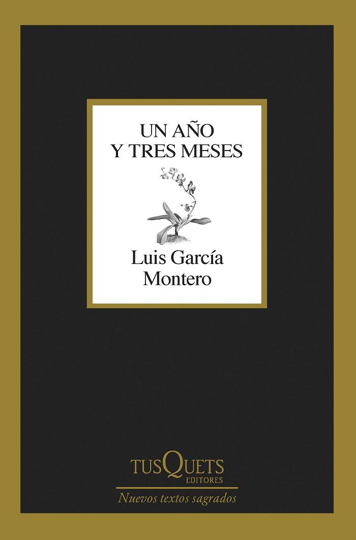 Un año y tres meses | 9788411071475 | García Montero, Luis | Librería Castillón - Comprar libros online Aragón, Barbastro