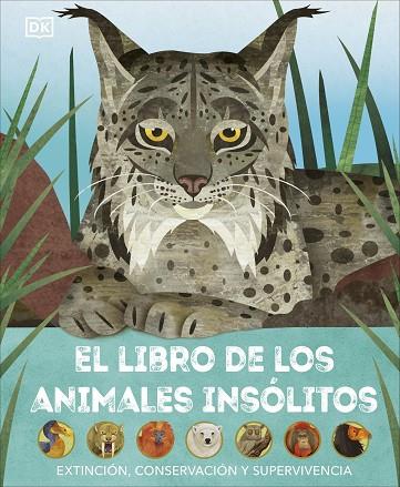 El libro de los animales insólitos | 9780241637692 | DK | Librería Castillón - Comprar libros online Aragón, Barbastro