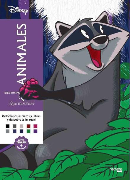 ¡Animales! Disney. Dibujos para colorear, ¡qué misterio! | 9788418182426 | VVAA | Librería Castillón - Comprar libros online Aragón, Barbastro