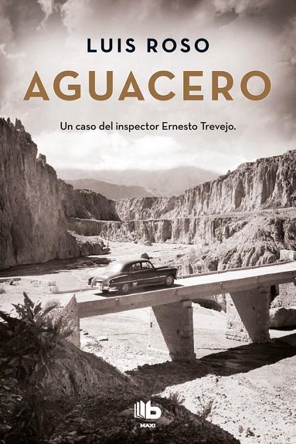 Aguacero (Inspector Trevejo 1) | 9788490704363 | Roso, Luis | Librería Castillón - Comprar libros online Aragón, Barbastro