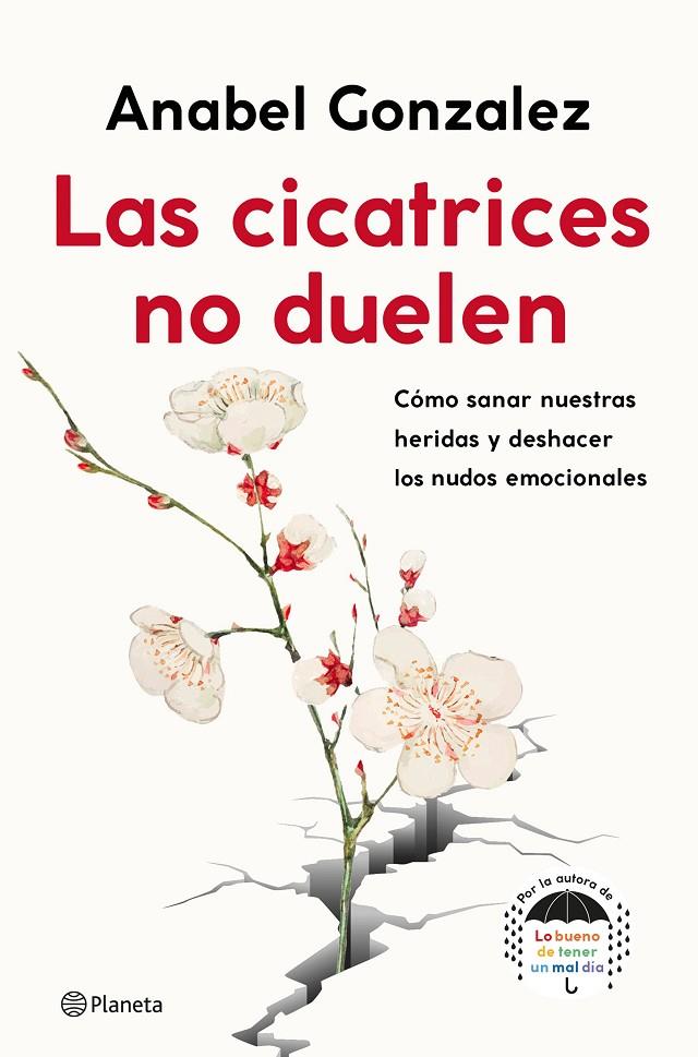 Las cicatrices no duelen | 9788408239093 | Gonzalez, Anabel | Librería Castillón - Comprar libros online Aragón, Barbastro