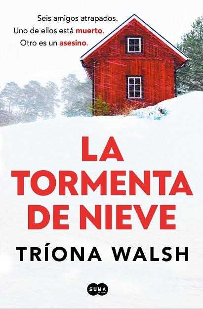 Tormenta de nieve | 9788491299028 | Walsh, Tríona | Librería Castillón - Comprar libros online Aragón, Barbastro