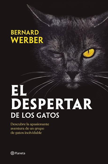 El despertar de los gatos | 9788408251835 | Werber, Bernard | Librería Castillón - Comprar libros online Aragón, Barbastro