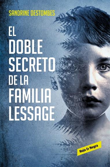 El doble secreto de la familia Lessage | 9788417511494 | DESTOMBES, SANDRINE | Librería Castillón - Comprar libros online Aragón, Barbastro