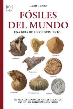 FÓSILES DEL MUNDO | 9788428217569 | WARD, DAVID J. | Librería Castillón - Comprar libros online Aragón, Barbastro