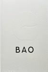 Bao | 9781838666200 | Chang, Erchen/Ching, Shing Tat/Ting Chung, Wai | Librería Castillón - Comprar libros online Aragón, Barbastro
