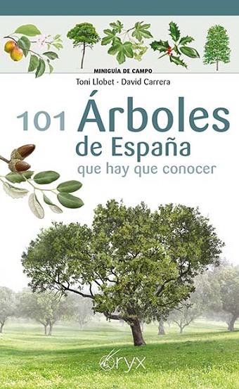 101 Árboles de España | 9788418735097 | Llobet François, Toni ; Carrera Bonet, David | Librería Castillón - Comprar libros online Aragón, Barbastro