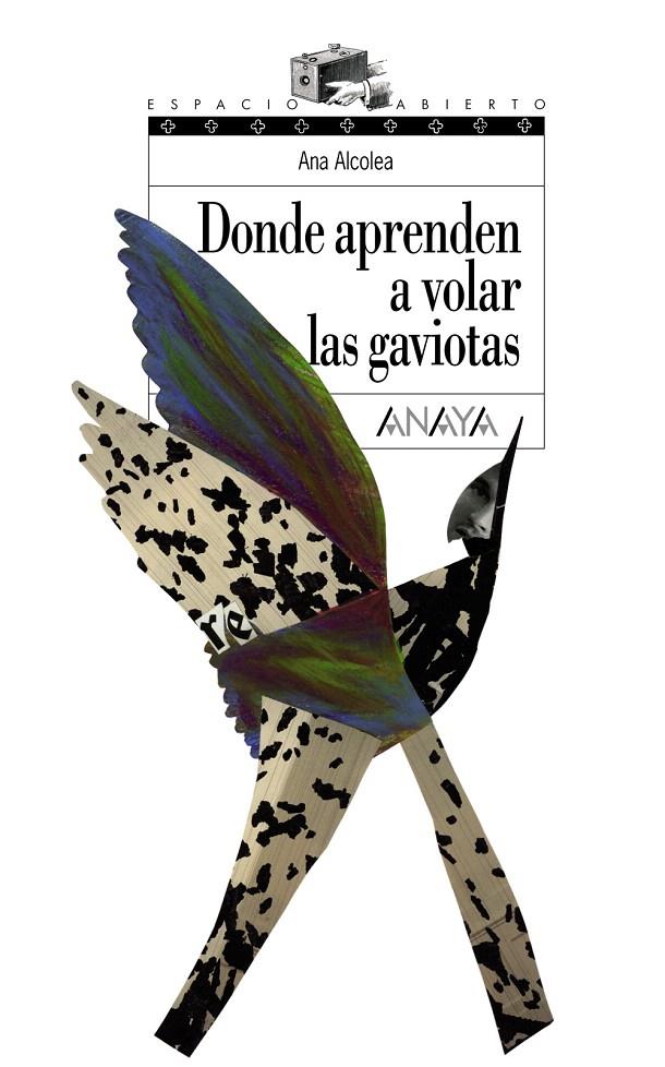 DONDE APRENDEN A VOLAR LAS GAVIOTAS - ESPACIO ABIERTO | 9788466762489 | ALCOLEA, ANA | Librería Castillón - Comprar libros online Aragón, Barbastro
