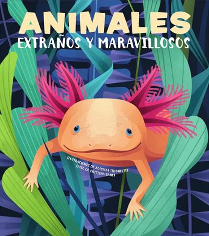 Animales extraños y maravillosos (VVKIDS) | 9788468270678 | Banfi, Cristina | Librería Castillón - Comprar libros online Aragón, Barbastro