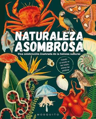Naturaleza asombrosa | 9788419095589 | Mosquito Books | Librería Castillón - Comprar libros online Aragón, Barbastro