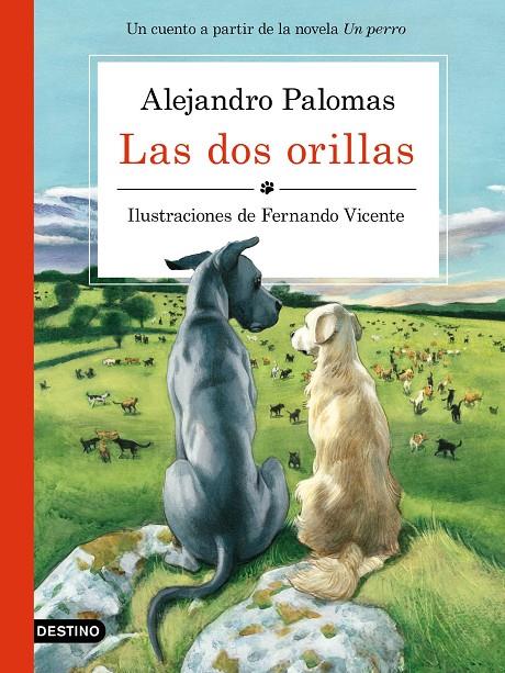 Las dos orillas | 9788423351671 | Palomas, Alejandro/Vicente, Fernando | Librería Castillón - Comprar libros online Aragón, Barbastro