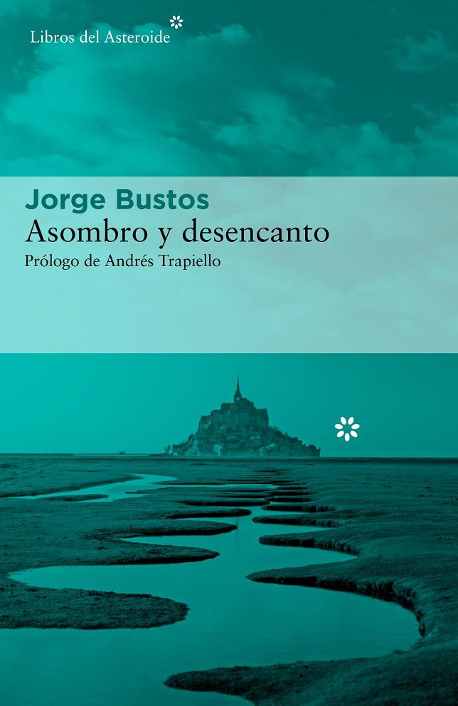 Asombro y desencanto | 9788417977573 | Bustos, Jorge | Librería Castillón - Comprar libros online Aragón, Barbastro