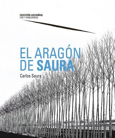 EL ARAGÓN DE SAURA | 9788417633042 | ALEGRE, LUIS/ SÁNCHEZ VIDAL, AGUSTÍN/ SAURA, CARLOS | Librería Castillón - Comprar libros online Aragón, Barbastro