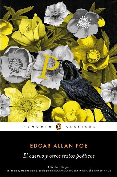 El cuervo y otros textos poéticos | 9788491054528 | Allan Poe, Edgard | Librería Castillón - Comprar libros online Aragón, Barbastro