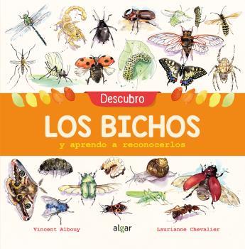 Descubro los bichos y aprendo a reconocerlos | 9788491422969 | ALBOUY, VINCENT | Librería Castillón - Comprar libros online Aragón, Barbastro