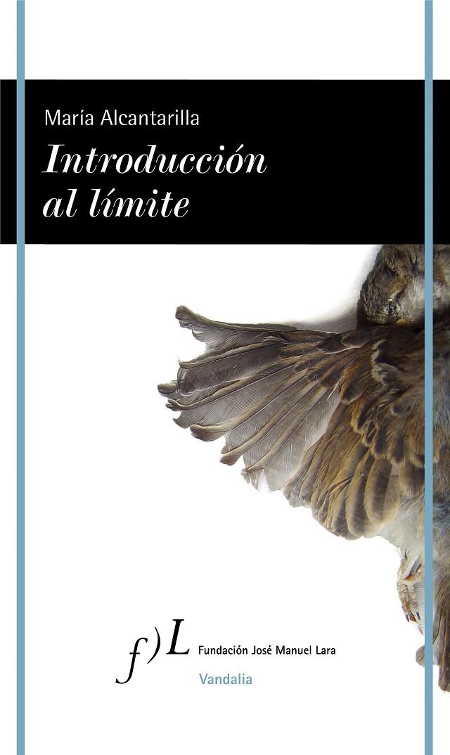 Introducción al límite | 9788417453176 | Alcantarilla, María | Librería Castillón - Comprar libros online Aragón, Barbastro