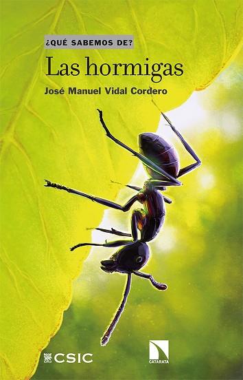 Las hormigas | 9788413522753 | Vidal Cordero, José Manuel | Librería Castillón - Comprar libros online Aragón, Barbastro