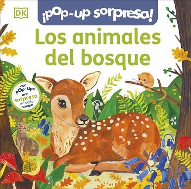 Los animales del bosque | 9780241663844 | DK | Librería Castillón - Comprar libros online Aragón, Barbastro