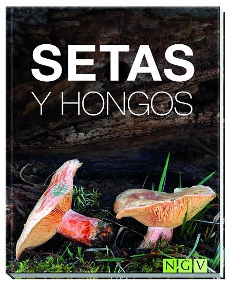 Setas y hongos | 9783869417776 | Kothe, Hans W. | Librería Castillón - Comprar libros online Aragón, Barbastro