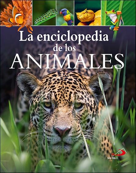 La enciclopedia de los animales | 9788428557511 | Leach, Michael ; Lland, Meriel | Librería Castillón - Comprar libros online Aragón, Barbastro