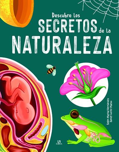 Descubre los Secretos de la Naturaleza | 9788466241519 | Martul Hernández, Belén | Librería Castillón - Comprar libros online Aragón, Barbastro