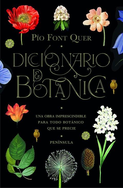 Diccionario de botánica | 9788499429076 | Font Quer, Pío | Librería Castillón - Comprar libros online Aragón, Barbastro