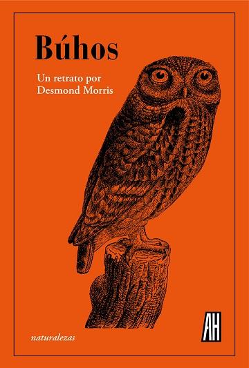 Búhos | 9788412403381 | Morris, Desmond | Librería Castillón - Comprar libros online Aragón, Barbastro