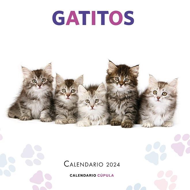 Calendario Gatitos 2024 | 9788448038076 | VV.AA. | Librería Castillón - Comprar libros online Aragón, Barbastro