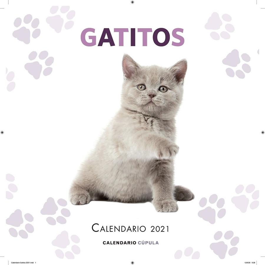 Calendario Gatitos 2021 | 9788448027681 | VV.AA. | Librería Castillón - Comprar libros online Aragón, Barbastro
