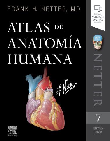 Atlas de anatomía humana (7ª ed.) | 9788491134688 | Netter, Frank H. | Librería Castillón - Comprar libros online Aragón, Barbastro