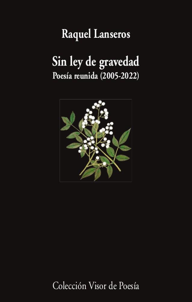 Sin ley de gravedad | 9788498954654 | Lanseros, Raquel | Librería Castillón - Comprar libros online Aragón, Barbastro