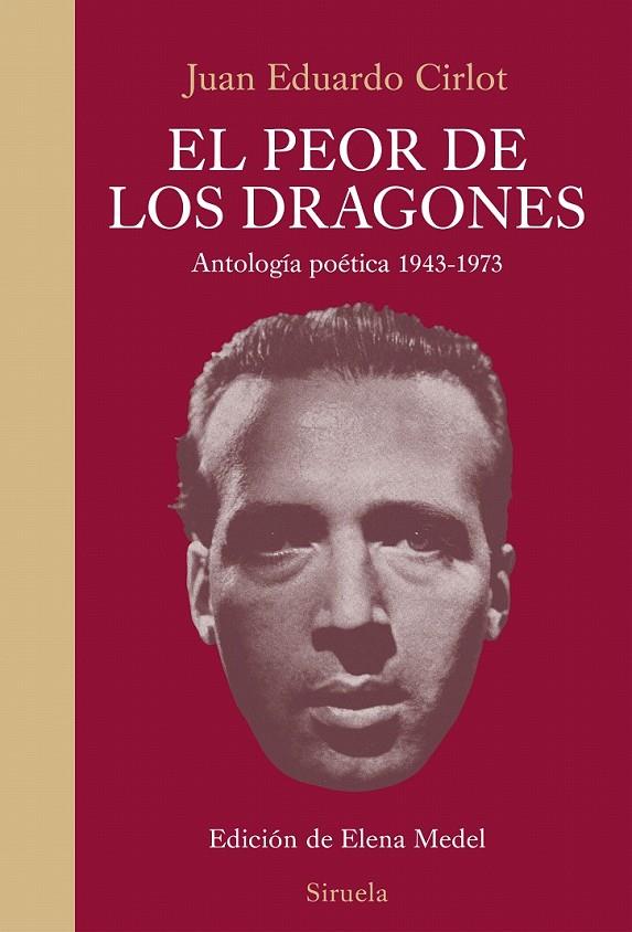 El peor de los dragones | 9788416854035 | Cirlot, Juan Eduardo | Librería Castillón - Comprar libros online Aragón, Barbastro