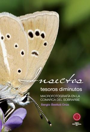 Insectos, tesoros diminutos | 9788494248528 | Sergio Bestué Orús | Librería Castillón - Comprar libros online Aragón, Barbastro