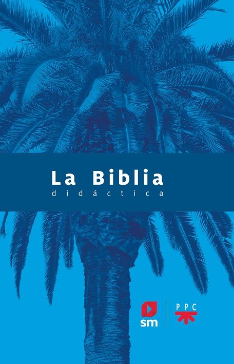 La Biblia didáctica - 2020 | 9788413183039 | Varios Autores, | Librería Castillón - Comprar libros online Aragón, Barbastro