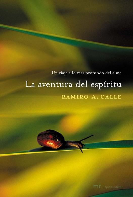 AVENTURA DEL ESPIRITU, LA | 9788427030244 | CALLE, RAMIRO A. | Librería Castillón - Comprar libros online Aragón, Barbastro