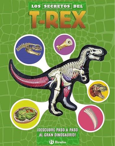 Los secretos del T. rex | 9788469641460 | Schatz, Dennis | Librería Castillón - Comprar libros online Aragón, Barbastro