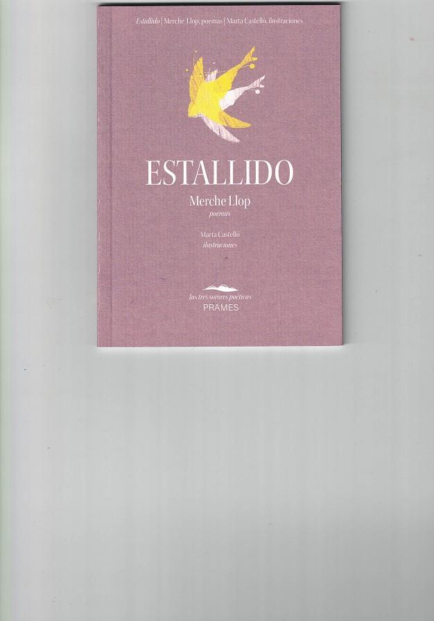 ESTALLIDO | 9788496793651 | LLOP, MERCHE | Librería Castillón - Comprar libros online Aragón, Barbastro